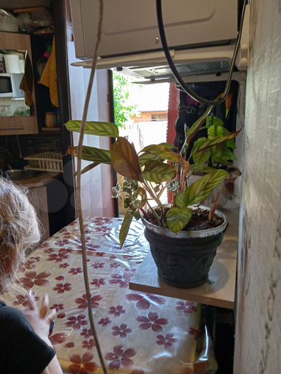 Дом 32 м² на участке 3 сот.