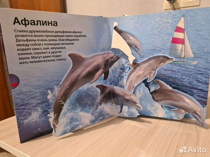 Книга звуки живой природы