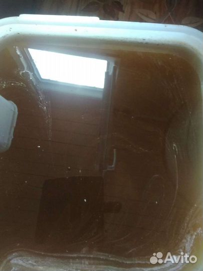 Мед: 2024, воск. Пжвм