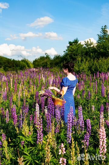 Фотограф Скопин