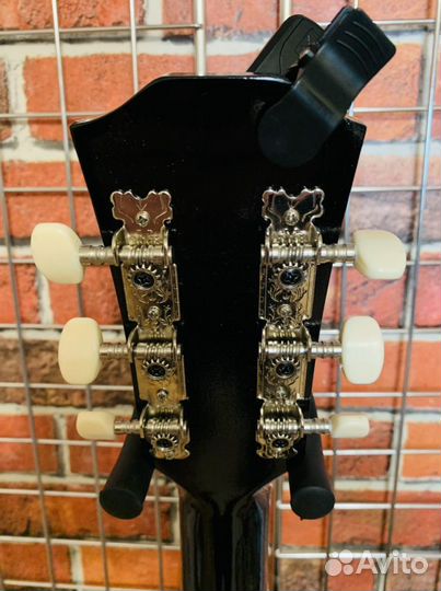 Акустическая гитара + чехол