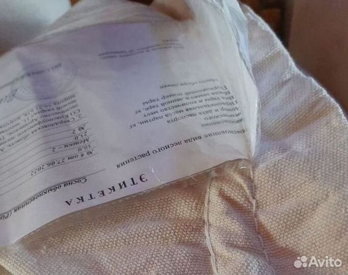 Семена / Сосна обыкновенная