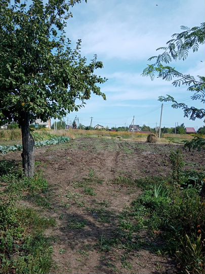 Участок 16 сот. (ИЖС)