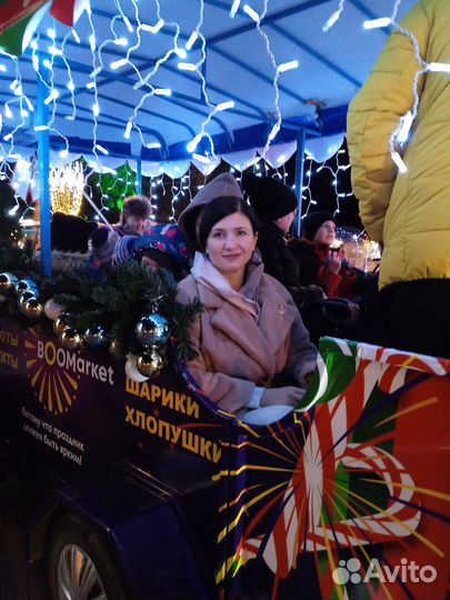 Репетитор, воспитатель, учитель