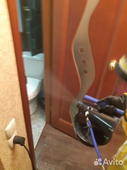 Уничтожение клопов травить тараканов блох клещей