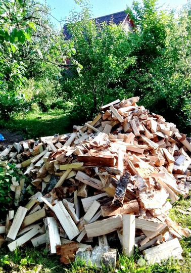 Дрова качественные от 1 куба любых пород древесины