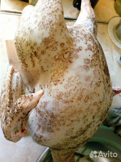 Мясо индейки