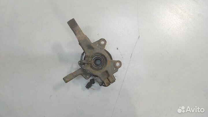 Ступица (кулак, цапфа) Renault Clio, 2010