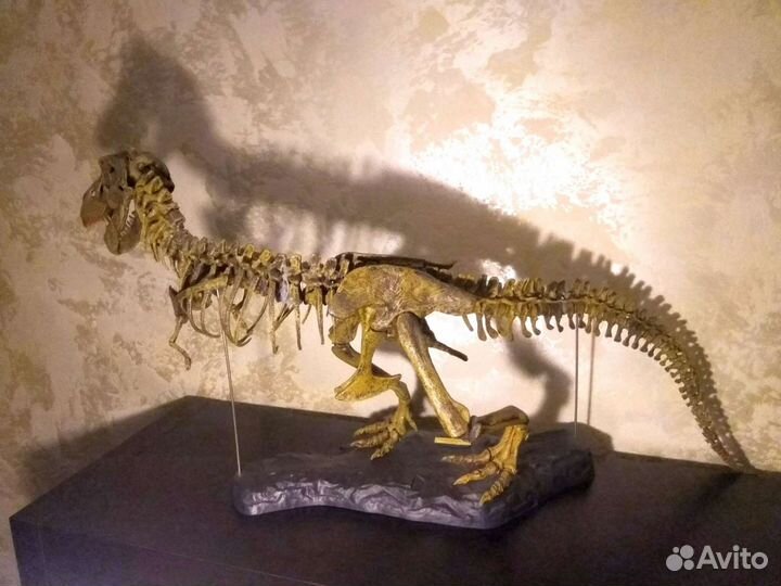 Тираннозавр Рекс