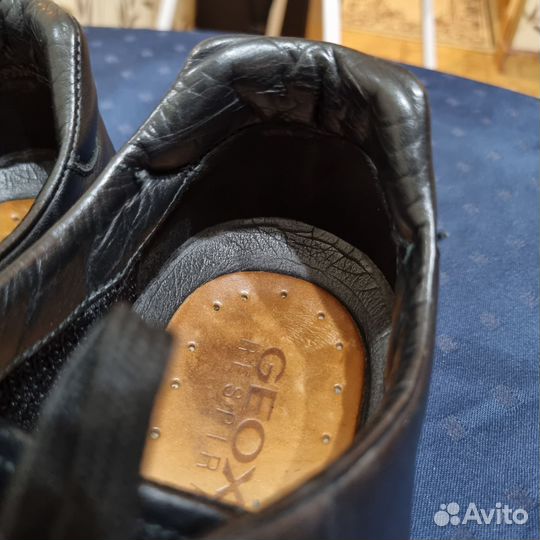 Кеды geox мужские