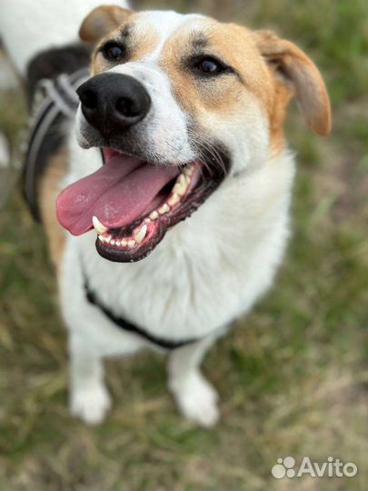 Очаровательный мальчик