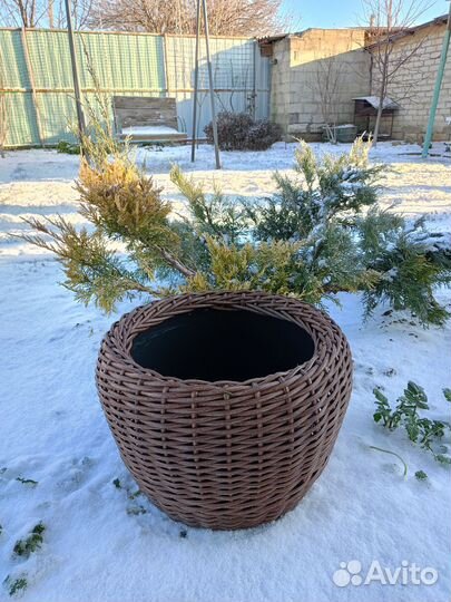 Кашпо из ротанга 12 литров, 16л, 20л