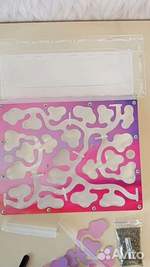 Муравьиная ферма