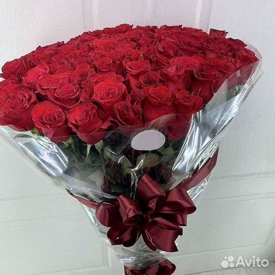 Высокие розы Гигантские розы 110