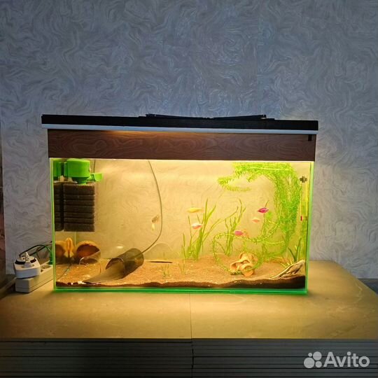 Аквариум на 100 литров