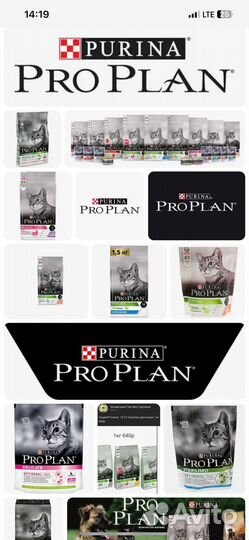 Корма для животных