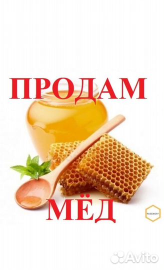 Мёд натуральный урожай 2023 года