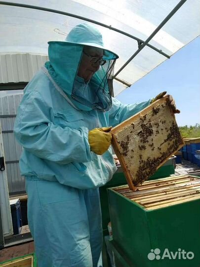 Бак 30 кг Мед Луговой с лабораторной проверкой