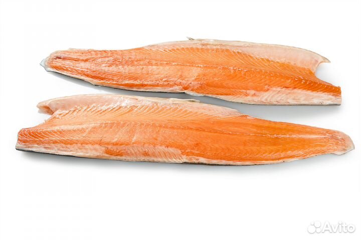 Семга,Лосось