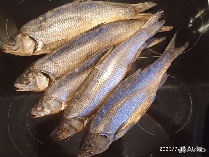 Язь соленый вяленный