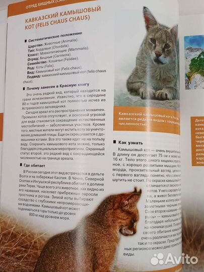 Красная книга России. Новая книга