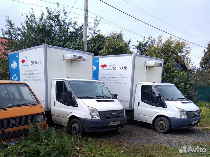 Работа для газелей рефрижератор