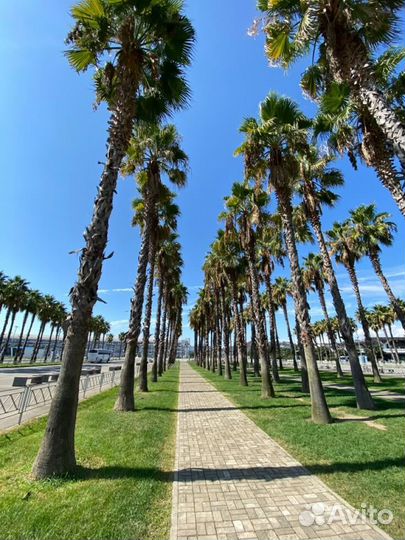 Горящий тур в Сочи из Екатеринбурга