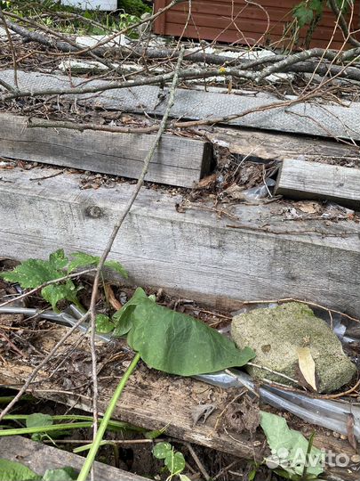 Дрова доски бесплатно