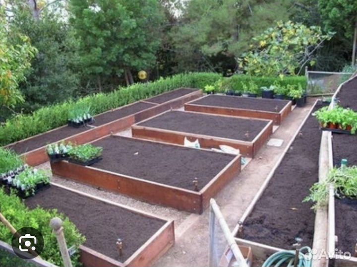 Деревянные грядки