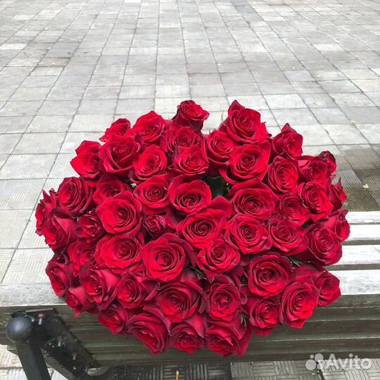 Доставка 46-10-00. 51 красная премиум роза в ленту
