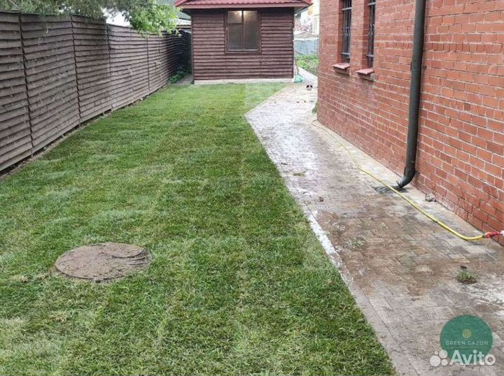 Качественный газон премиум