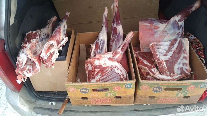 Мясо баранина домашняя халяль