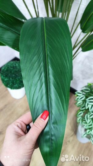 Искусственное дерево пальма, монстера, стрелиция