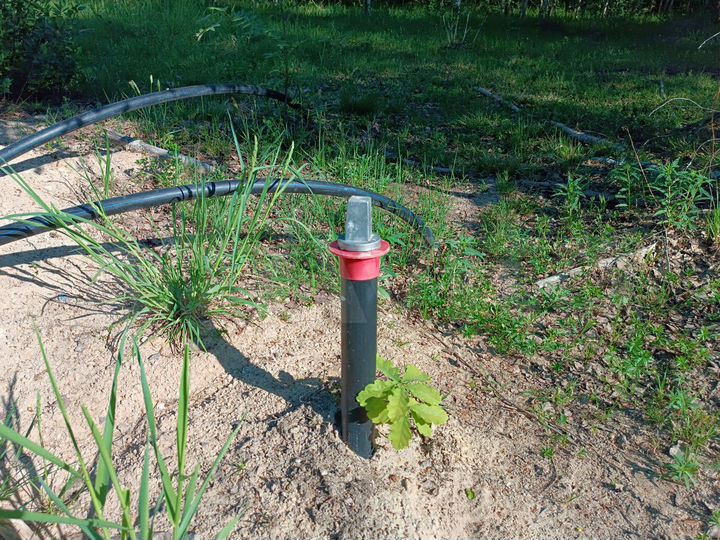 Участок 15 сот. (СНТ, ДНП)