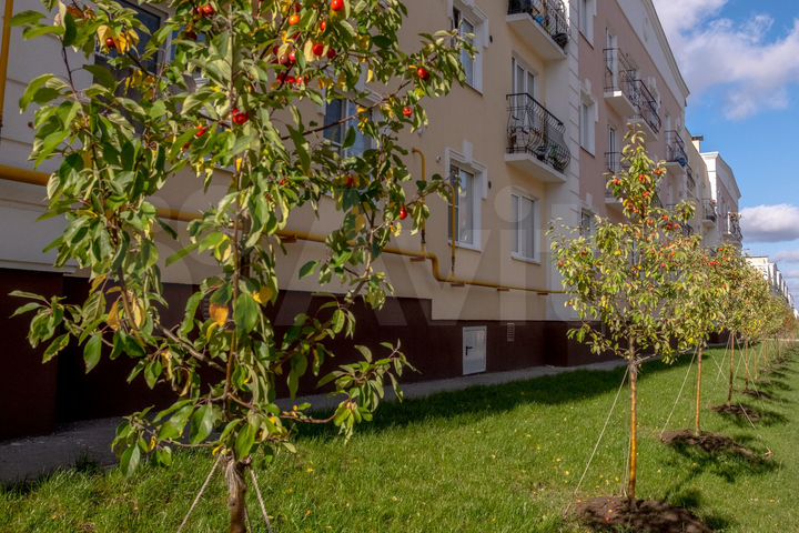 2-к. квартира, 50,5 м², 2/3 эт.