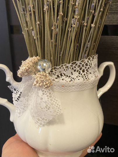 Лаванда в кашпо