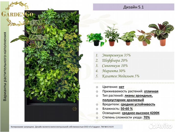 Фитостена №5.1 с автополивом и растениями