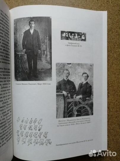 История души, или портрет эпохи. Судьба цесаревича