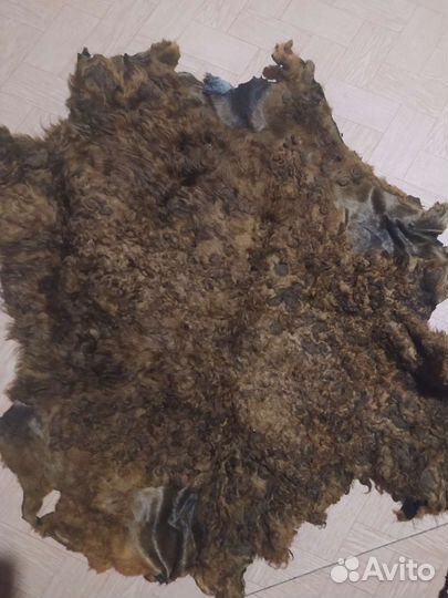 Шкуры овчины