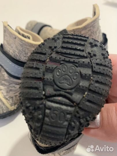 Ботинки для собак