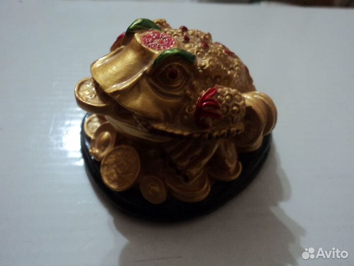 Жаба денежная