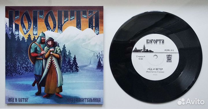 Виниловая пластинка