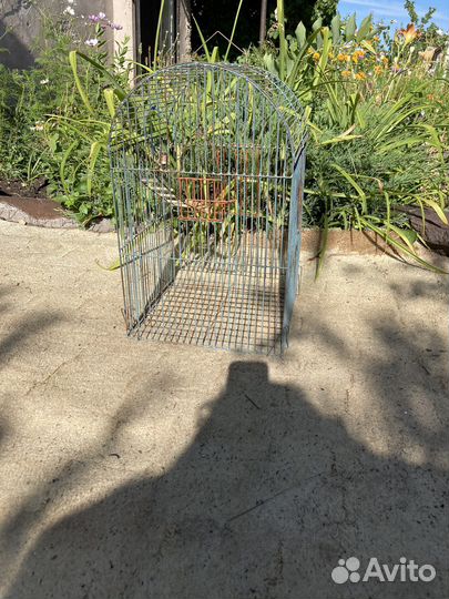 Клетка для среднего попугая