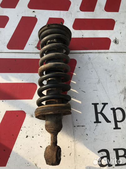 Амортизатор передний Nissan Pathfinder III (2004—2
