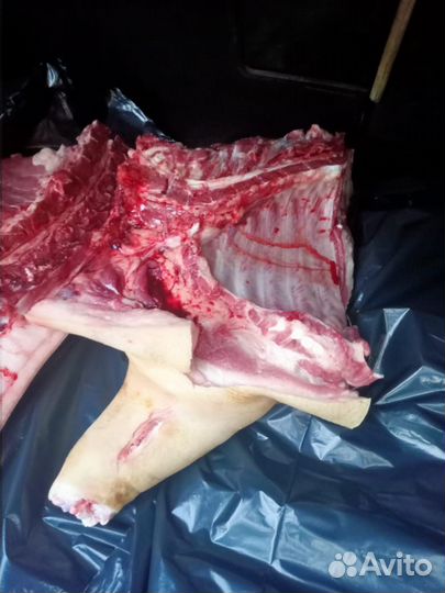 Мясо свинина домашняя