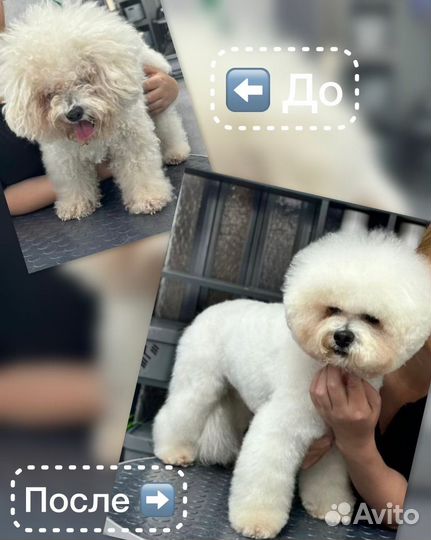 Модель на груминг