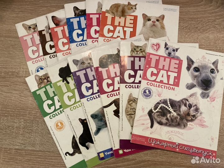 Журналы The cat