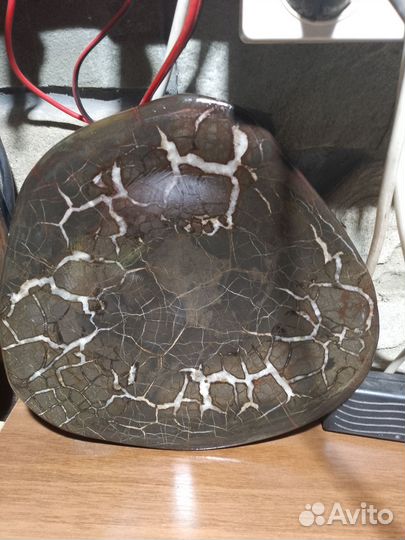 Две половинки одного целого септария в разрезе