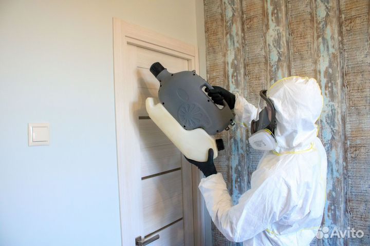 Тараканы, клопы, осы, плесень,запахи, мыши