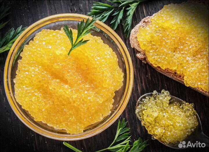 Продаю Икра Щучья натуральная соленая